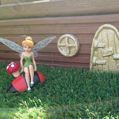 Gold Windows and Green Grass