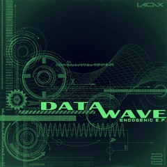 [UKX15] Datawave - Endogenic EP