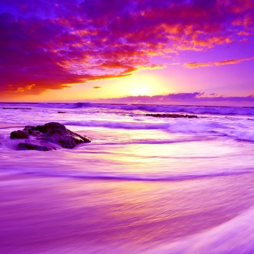 Jack Gibson - Paradise FREE DOWNLOAD