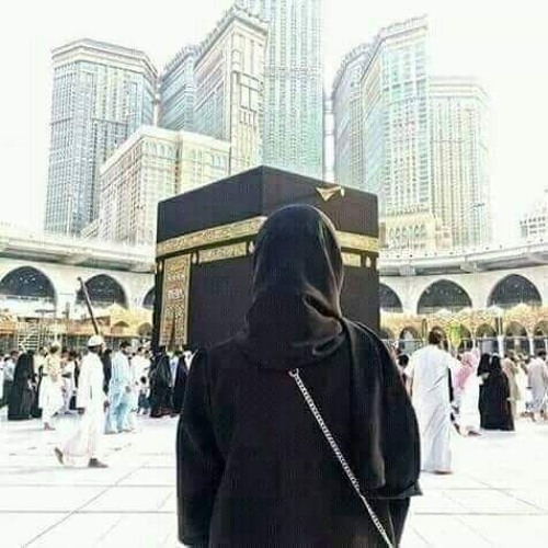 ولرب نَازلة يَضيق بها الفتىٰ | 💚