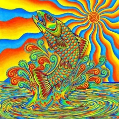 New Born - fish