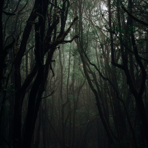 Jormungand/The Eternal Optimist ( Collab with Crest Of The Syndicate )