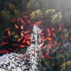 Nick Mira Juice Wrld Type Beat (Prod. Trap Cobain )