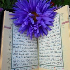 تلاوة هادئة من سورة سبأ - للشيخ ناصر القطامي