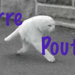 P.Poutine