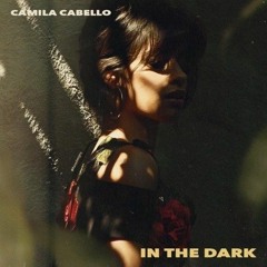 Camila Cabello - In The Dark (sublink Remix)