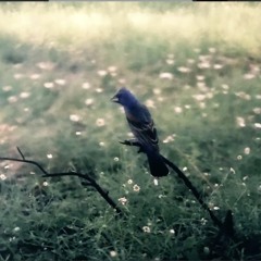 Herbst im Paradies Teaser