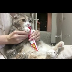 Ciao-Chuuru-Mashup