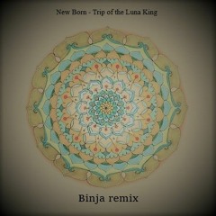 New Born - Trip Of The Luna King (Binjaya Remix)