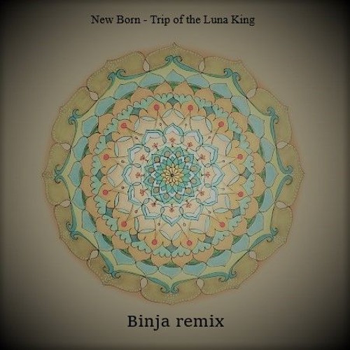 New Born - Trip Of The Luna King (Binjaya Remix)