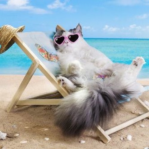 Stream Miel X Lemon Me Elevo By Miel Beats Listen Online For Free