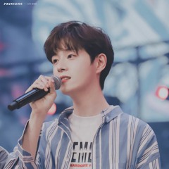 觅 (Seek) - 王喆 (Ako - Wang Zhe)