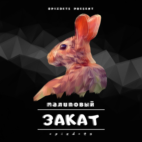 Малиновый закат ( remix by opizdets )