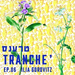 Ilia Gorovitz -  tranche טרענס #6