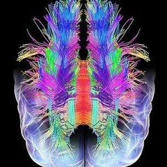 "Ziploc Open..." - 1_Step (feat. NMC) *2013*