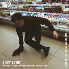 GOST ZVUK x NTS monthly show #14 w/Missisippi Landscapes