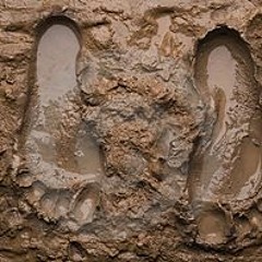 EARTHFEST/MUDFEST 2019~KULEFLUX~CLOSING SET