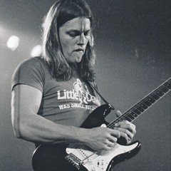 David Gilmour Raise my Rent Backingtrack for Guitarists (same as Gilmourish.com)