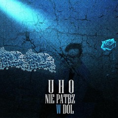 NIEPATRZWDÓŁ prod. recluse