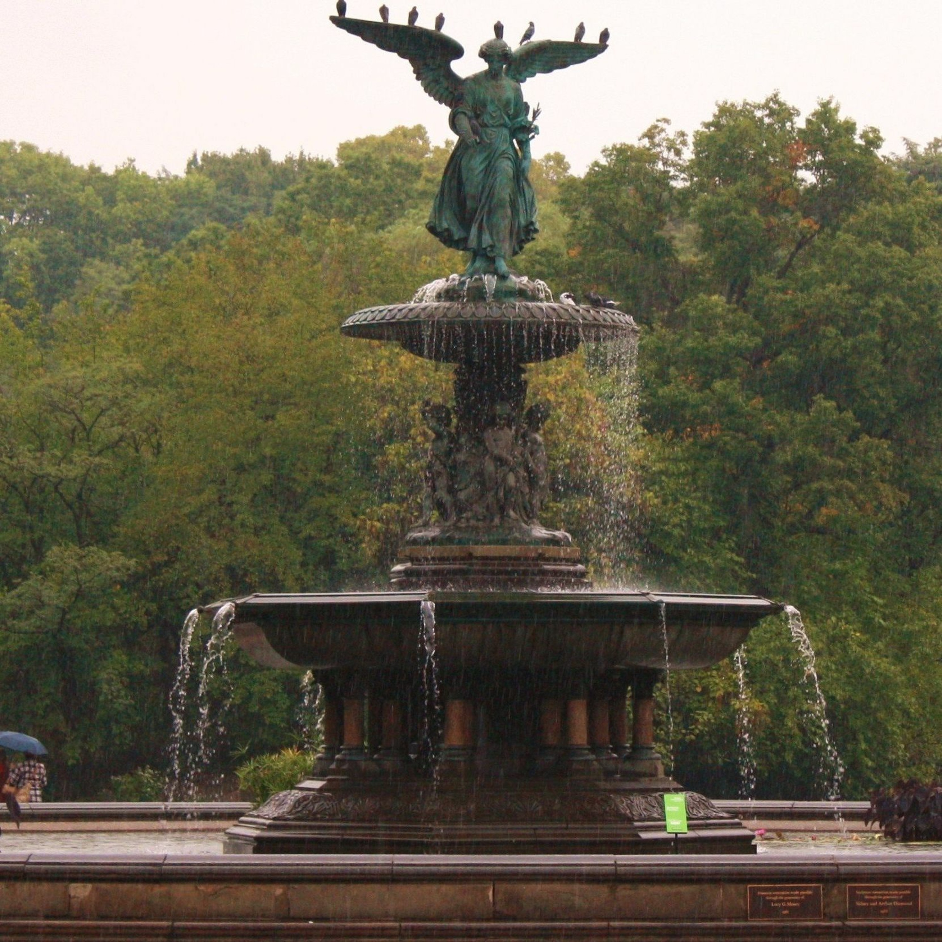 Words, Nevertheless: Sermons and Thoughts