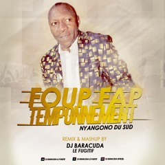Nyangono du Sud - FoupFap Tamponnement (Remix & Mashup By Dj Baracuda)