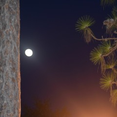 Redemption - Peso $ly