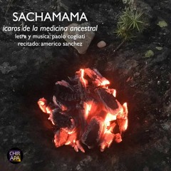 Sachamama