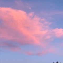 Cool Evening