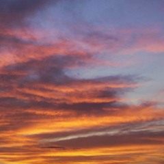 Push It Forward Vol. V (House Edition)