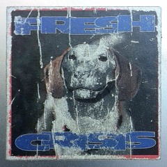 Har Mar Superstar - Save the Strip (Crisis intervention)