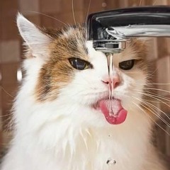 Jumping Off The Deep End (funky deep tech & deep house) Live Set