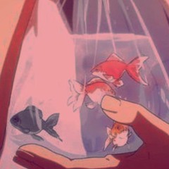 BEEF FLOMIX editing audio