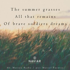 haiku #281: The summer grasses / All that remains / Of brave soldiers dreams
