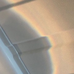 I want to See the World