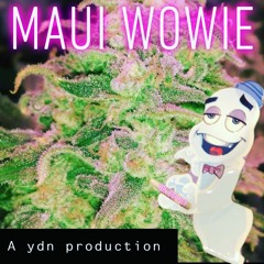 Maui wowwie