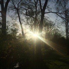 Can I Ask You Something