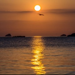 Cafe Del Fevah Eamonn Fevah V NuroGl Rmx