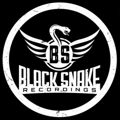 Black Snake Recordings Release