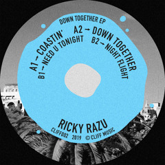 Ricky Razu - Night Flight