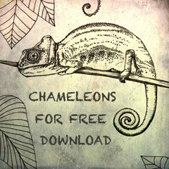 chameleoncast