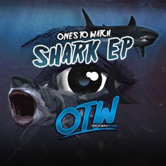 Roy Dest & Wukong - Rockin