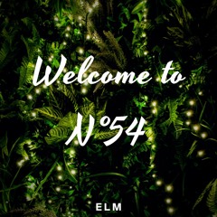 Welcome to N° 54