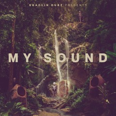 Shaolin Dubz - My Sound