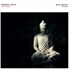 Sergen Tekin - Your Dream (Radio Mix)Prewiew
