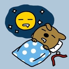 로또 자동 5천원