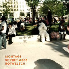 #088: Rotwelsch - Montagssorbet mit Laut & Luise