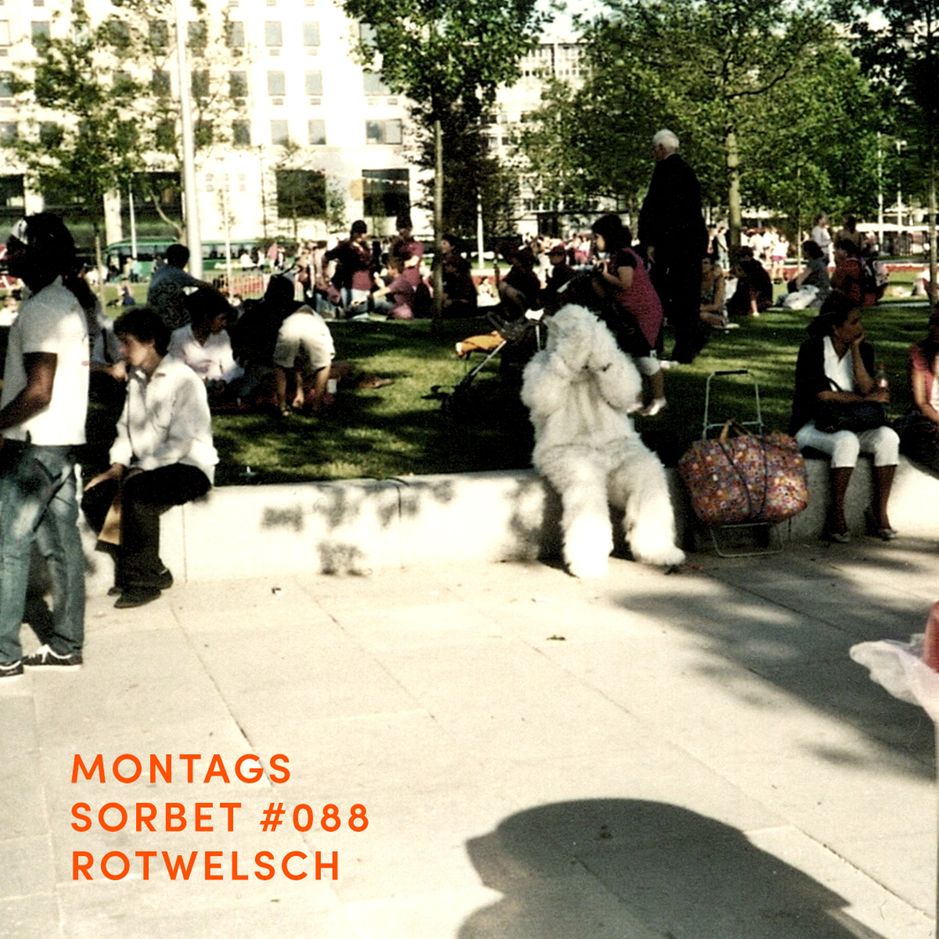 Montagssorbet mit Laut & Luise