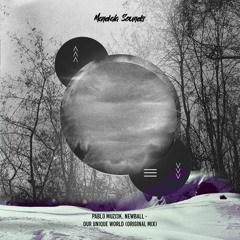 Pablo Muzi3k, Newball - Our Unique World (Original Mix)