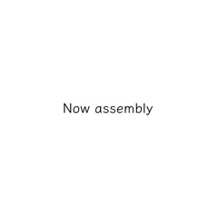 Now assembly/Age14