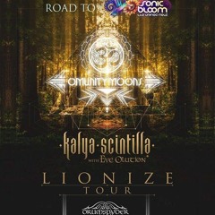 Road to Sonic Bloom SLC 5.25.19